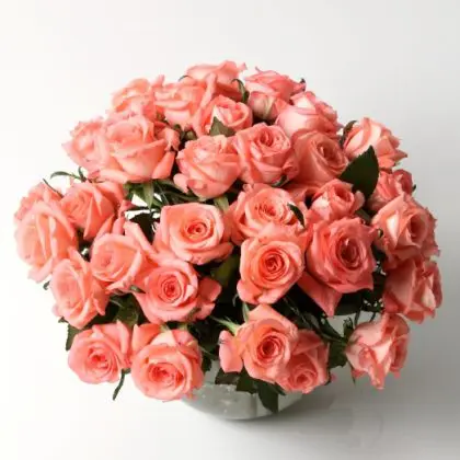 Spring Breath (30 Roses)