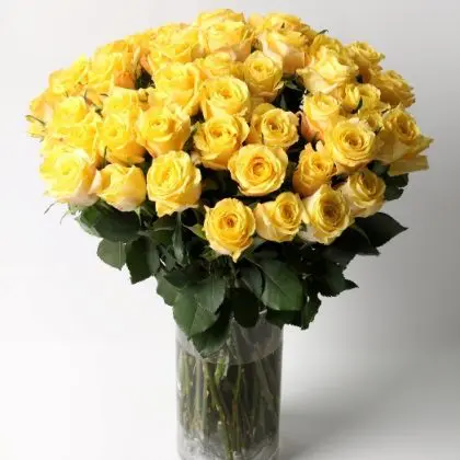 Celebration (50 Roses)