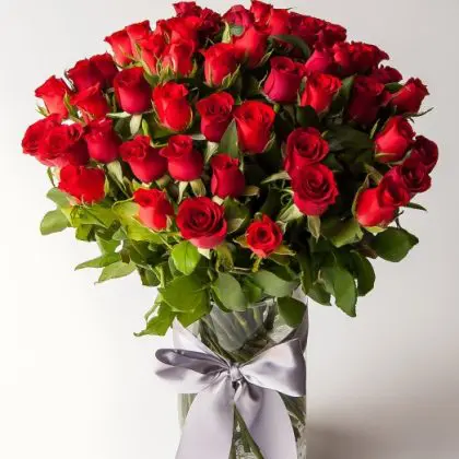 Red Red Wine (50 Roses)