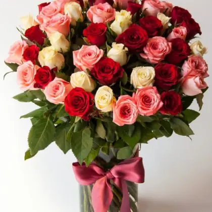 Jubilant (50 Roses)