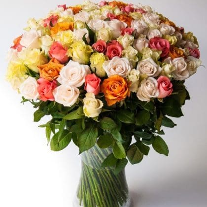 Butterfly Kisses (100 Roses)