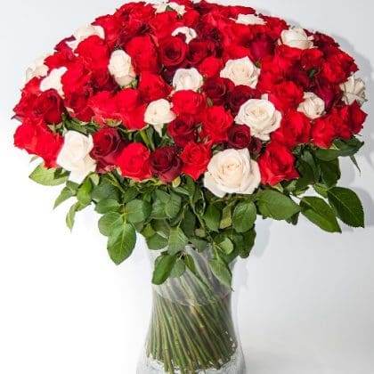 Starry Night (100 Roses)