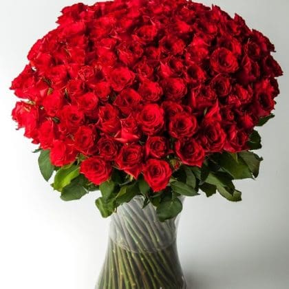 Yours Forever (100 Roses)