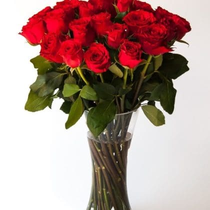 Rhapsody Of Love (24 Roses)
