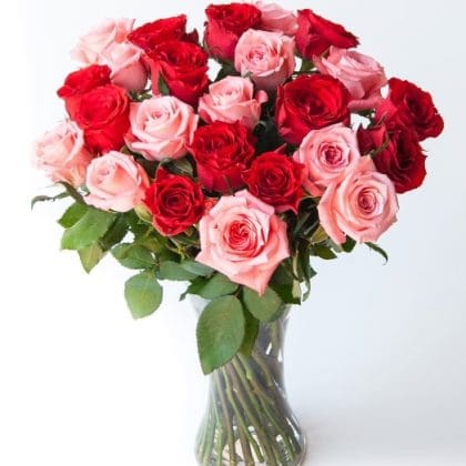 Promise (24 Roses)