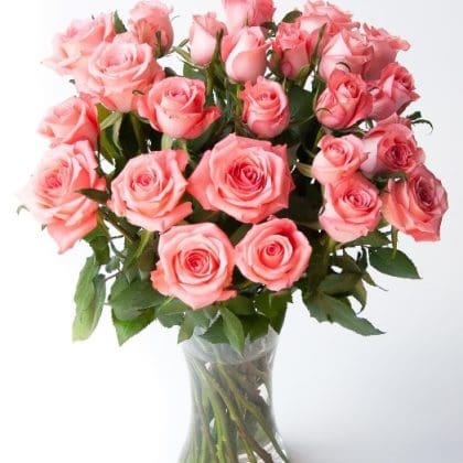 Love Me Tender (24 Roses)
