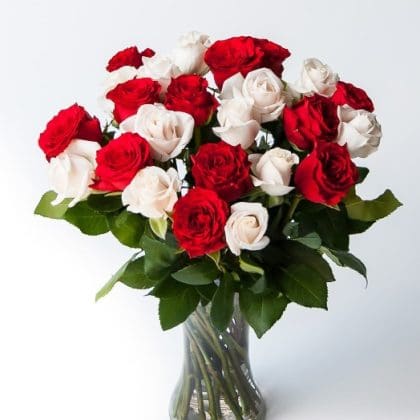 You & Me - Petit (12 Roses)