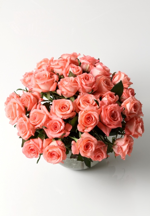 Spring Breath (30 Roses)