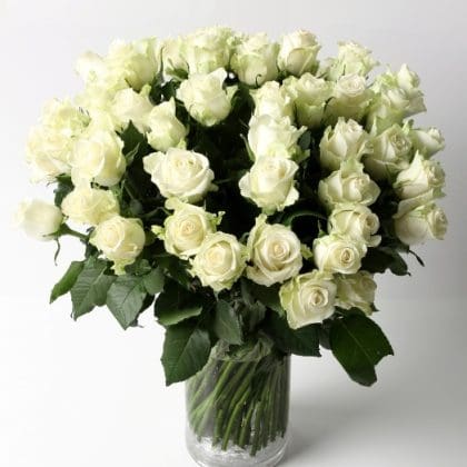 Adagio (50 Roses)
